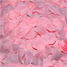 DIABLO PICANTE - 100 PÉTALES ROSE